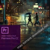 Adobe premiere pro cc 2018 icon